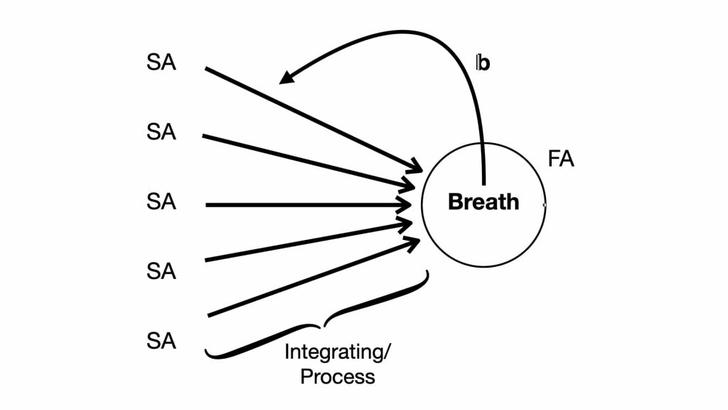 Fig. 4b