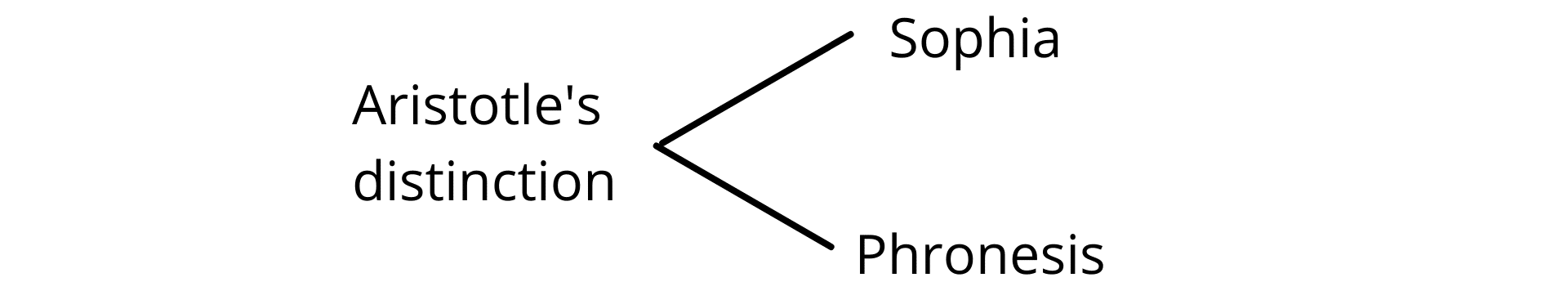 Fig. 5a