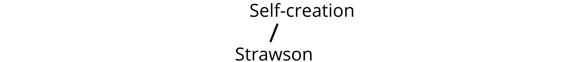 Fig. 2a