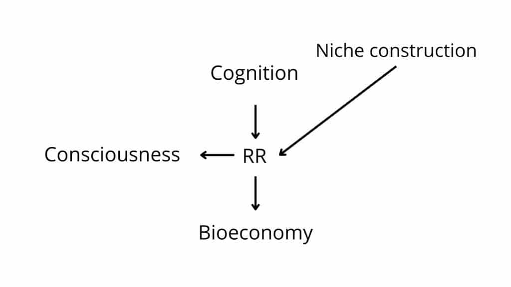 Fig. 4b
